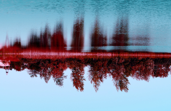 Image-normal