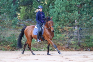 Image-preview_300x200