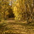 Image-square_50