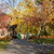 Image-square_50
