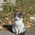Image-square_50