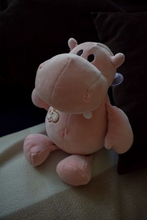 Image-preview_300x200