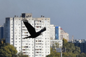 Image-preview_300x200