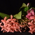Image-square_50