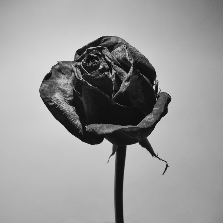 Image-normal
