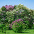Image-square_50