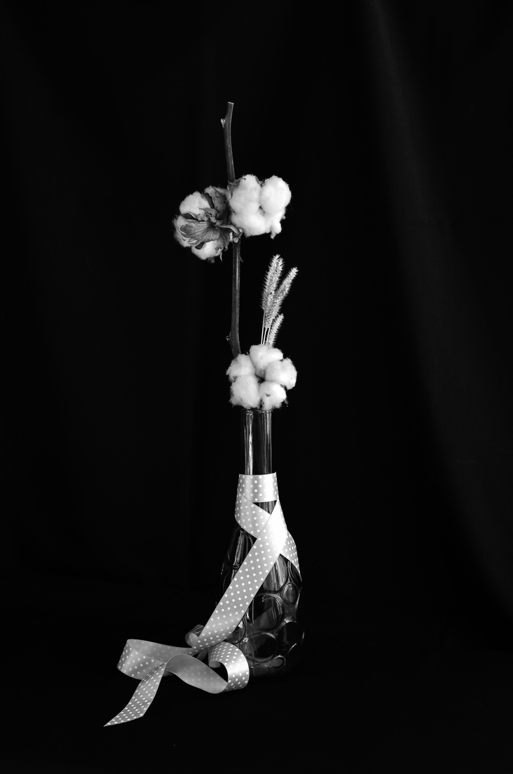 Image-normal