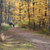 Image-square_50