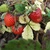 Image-square_50