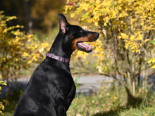 Image-rectangle_220_165