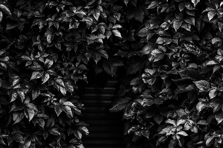 Image-normal