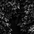 Image-square_50