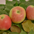 Image-square_50