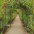 Image-square_50