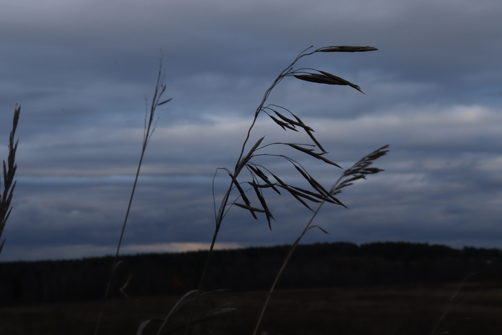 Image-normal