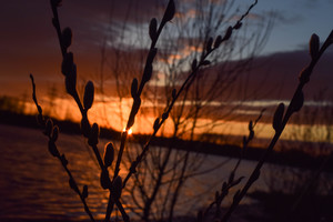 Image-preview_300x200