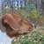 Image-square_50