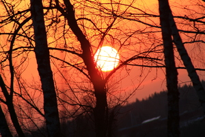 Image-preview_300x200