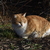 Image-square_50