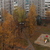 Image-square_50