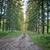 Image-square_50