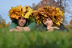 Image-preview_300x200