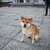Image-square_50