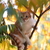 Image-square_50