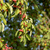 Image-square_50