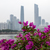 Image-square_50