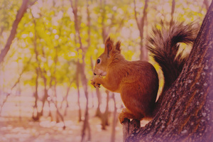 Image-preview_300x200