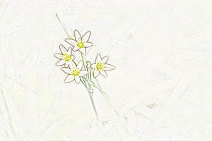 Image-preview_300x200