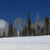 Image-square_50