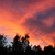 Image-square_50