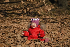 Image-preview_300x200