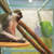 Image-square_50