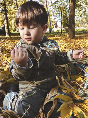 Image-preview_300x200