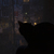 Image-square_50