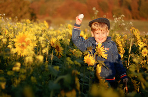 Image-preview_300x200