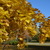 Image-square_50