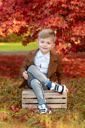 Image-preview_300x200