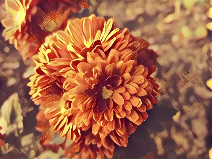 Image-normal