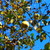Image-square_50