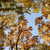 Image-square_50