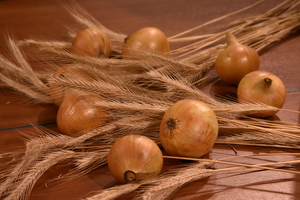 Image-preview_300x200
