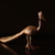 Image-square_50