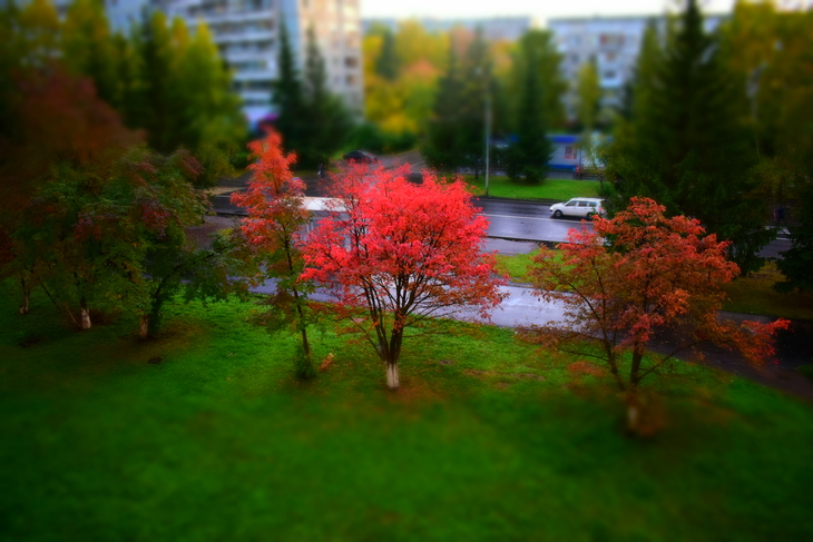 Image-normal