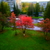 Image-square_50