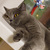 Image-square_50