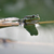 Image-square_50